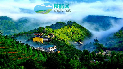 茶香漫山巒，文旅譜新篇——宜賓市敘州區(qū)天宮山茶旅融合開發(fā)項(xiàng)目有序推進(jìn)